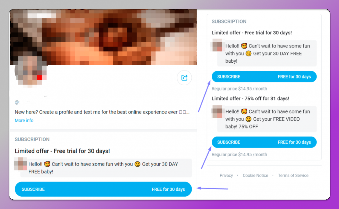 Кейс OnlyFans Dolphin Anty