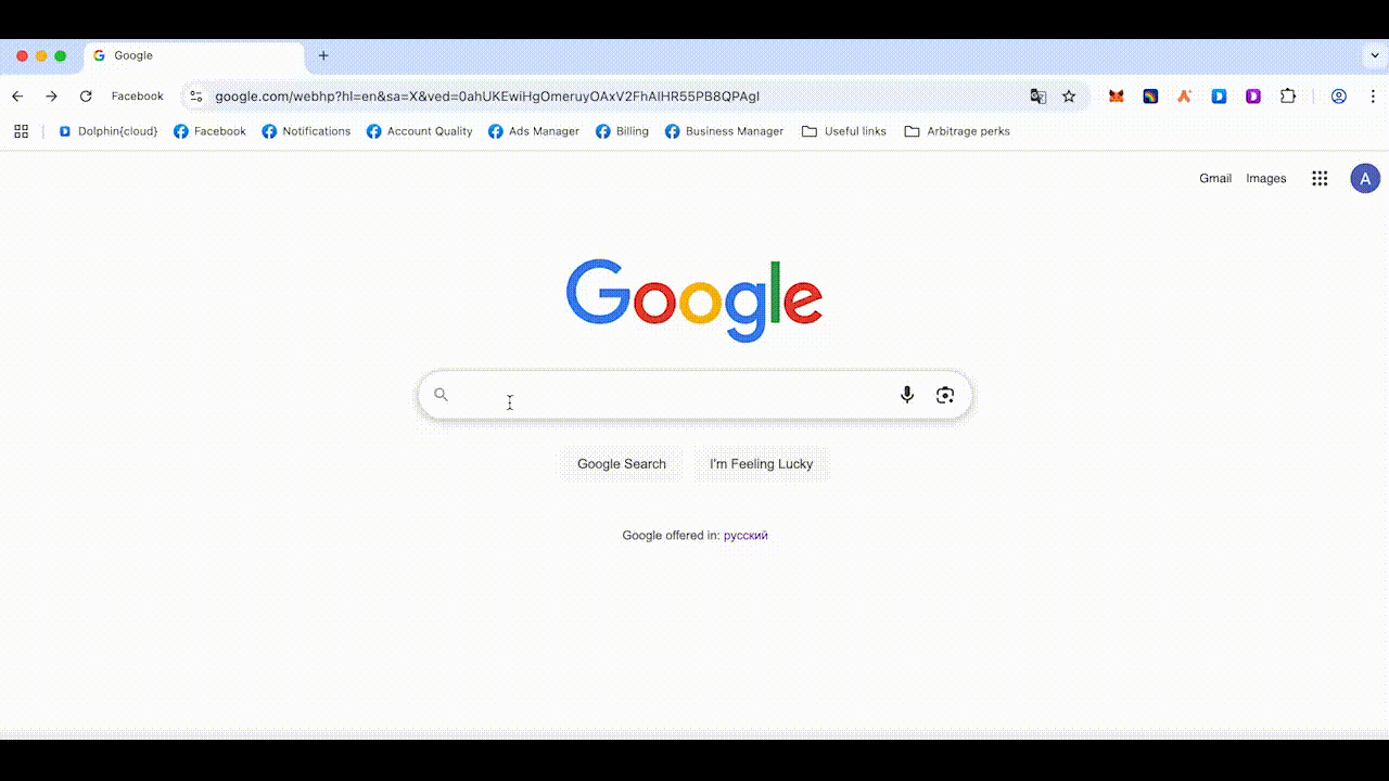 Smart Paste Dolphin Anty