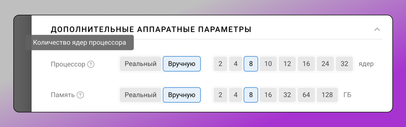 Процессор и память Dolphin Anty