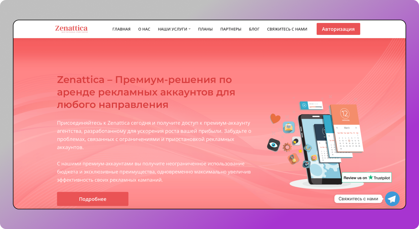 Zenattica Dolphin Anty