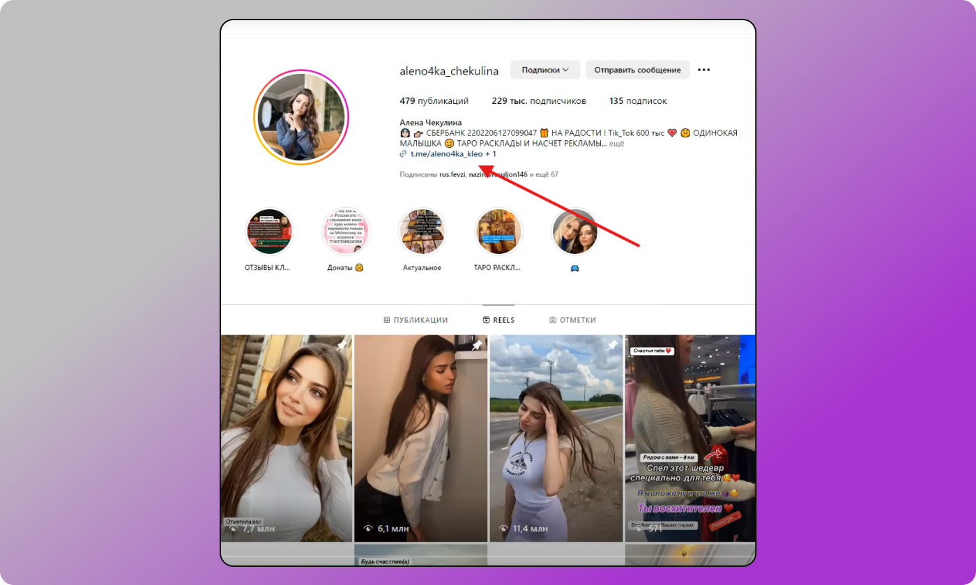 Instagram Dolphin Anty