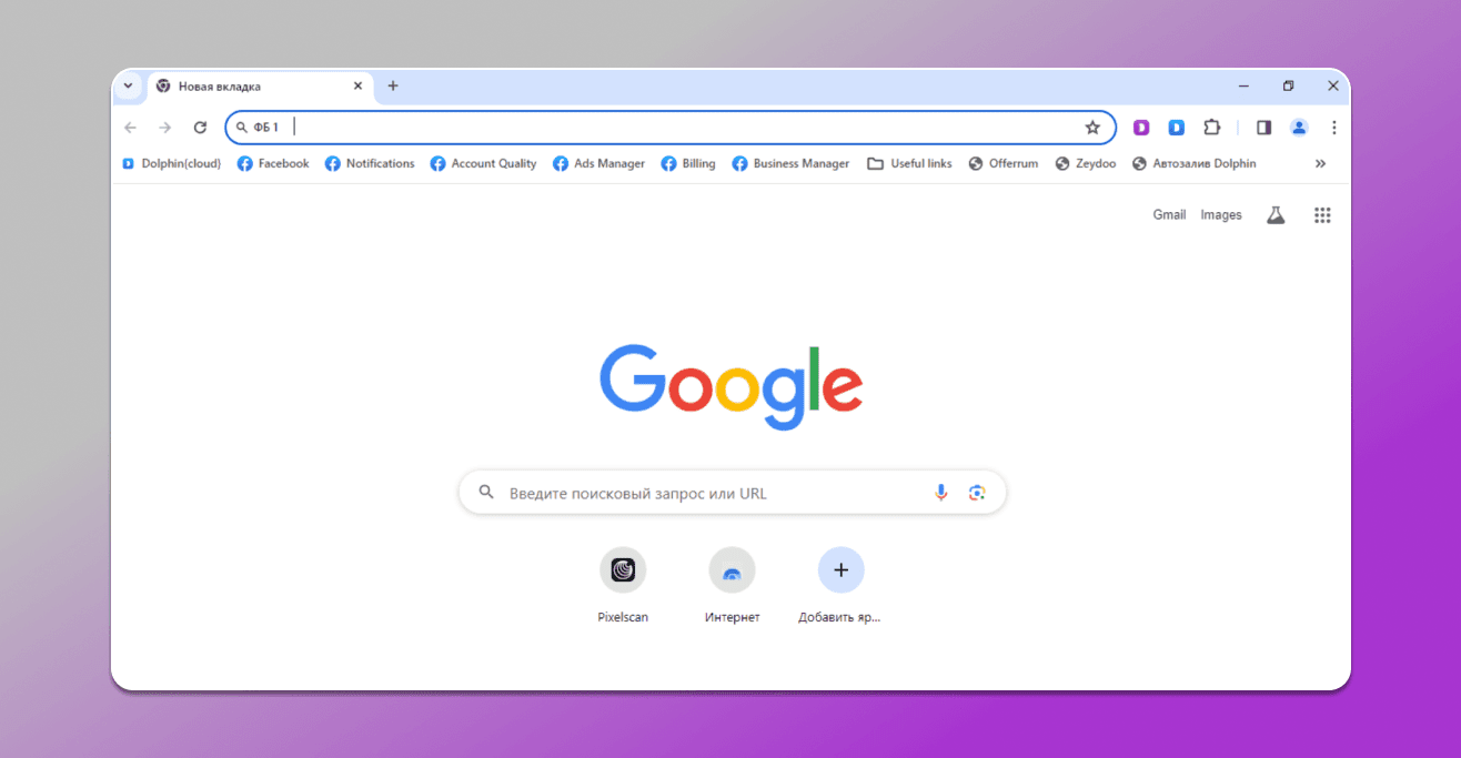 Открытие профиля без предустановленных расширений в Dolphin Anty