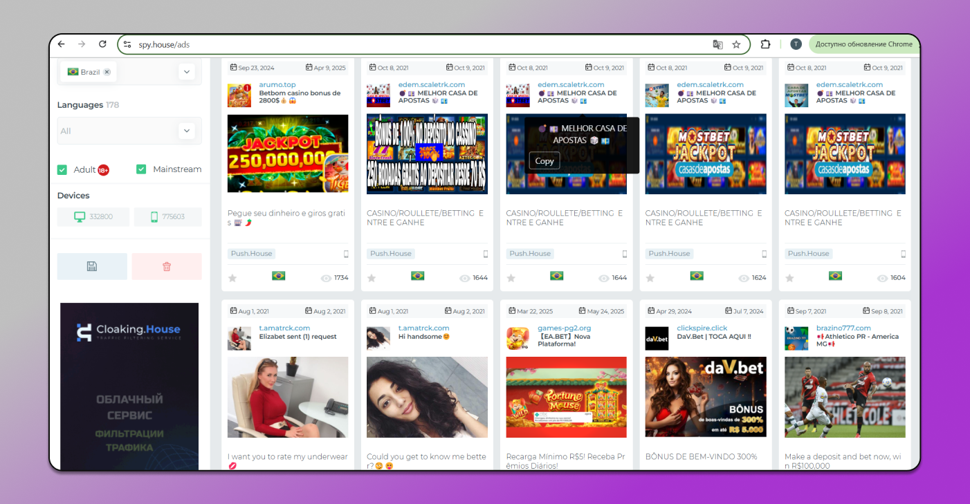 Spy House Dolphin Anty