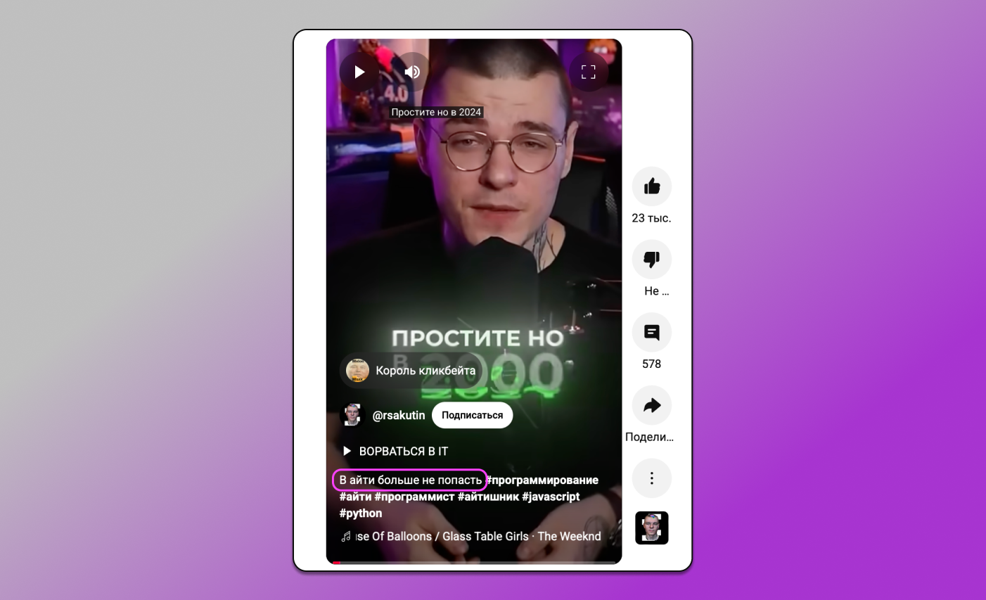 Воронка IT Dolphin Anty