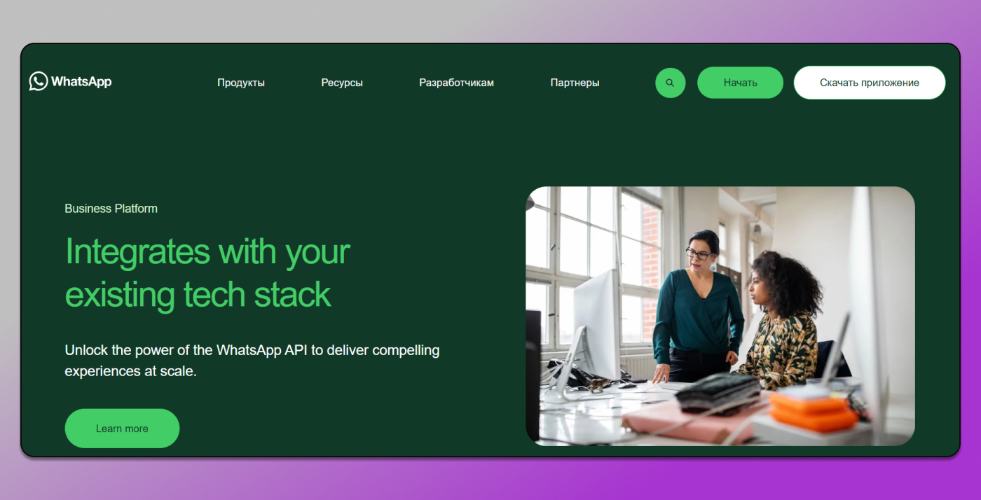 WhatsApp Главная страница Dolphin Anty