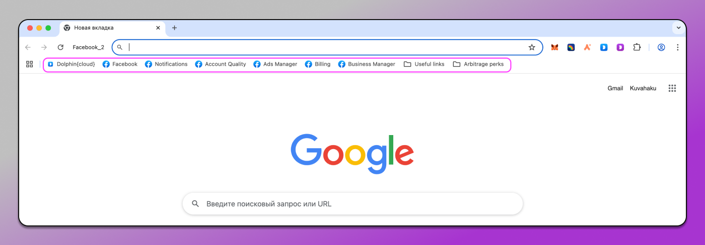 Тип профиля Dolphin Anty