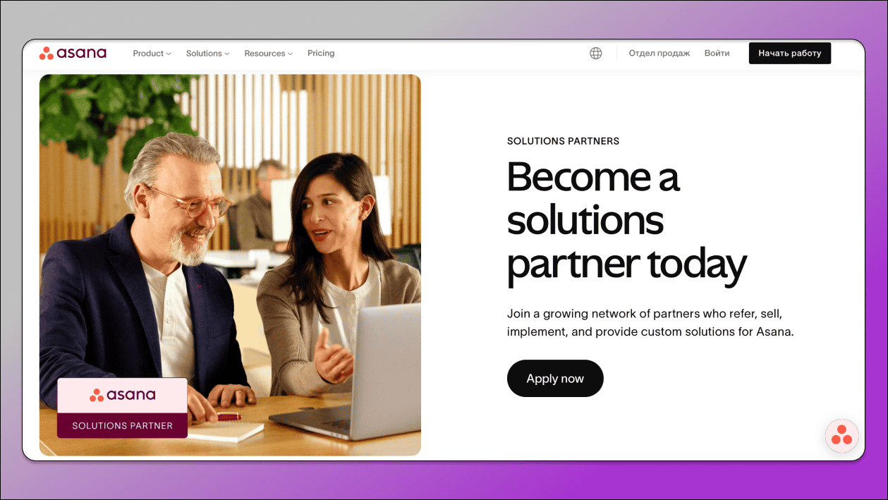 Asana партнерская программа Dolphin Anty