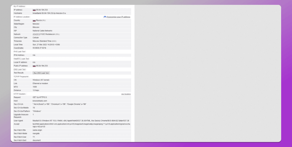 Browserleaks от Dolphin Anty