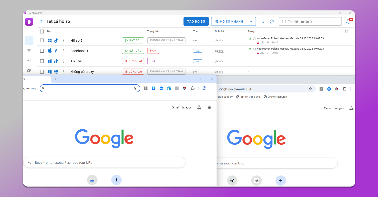Home Page Dolphin Anty