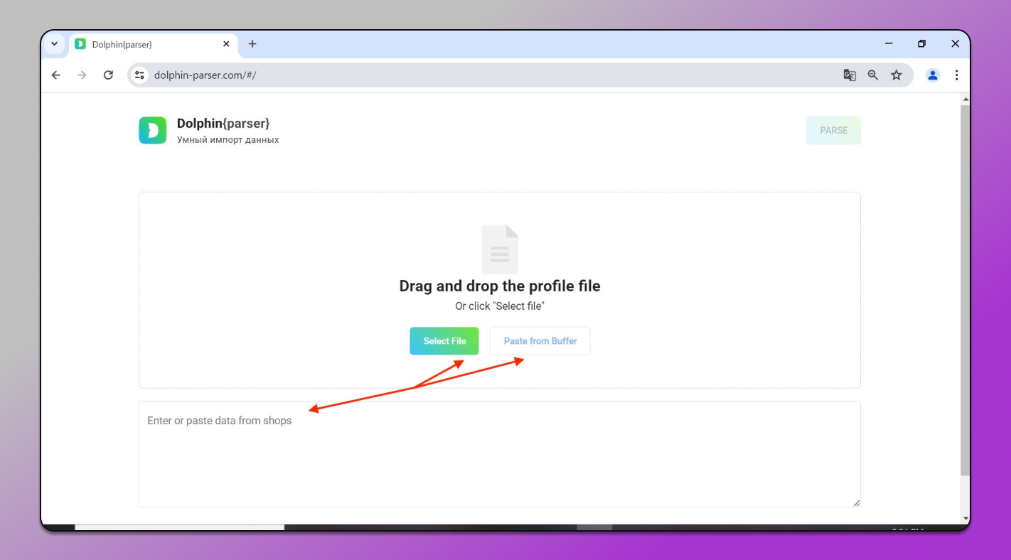Parser Interface Dolphin Anty