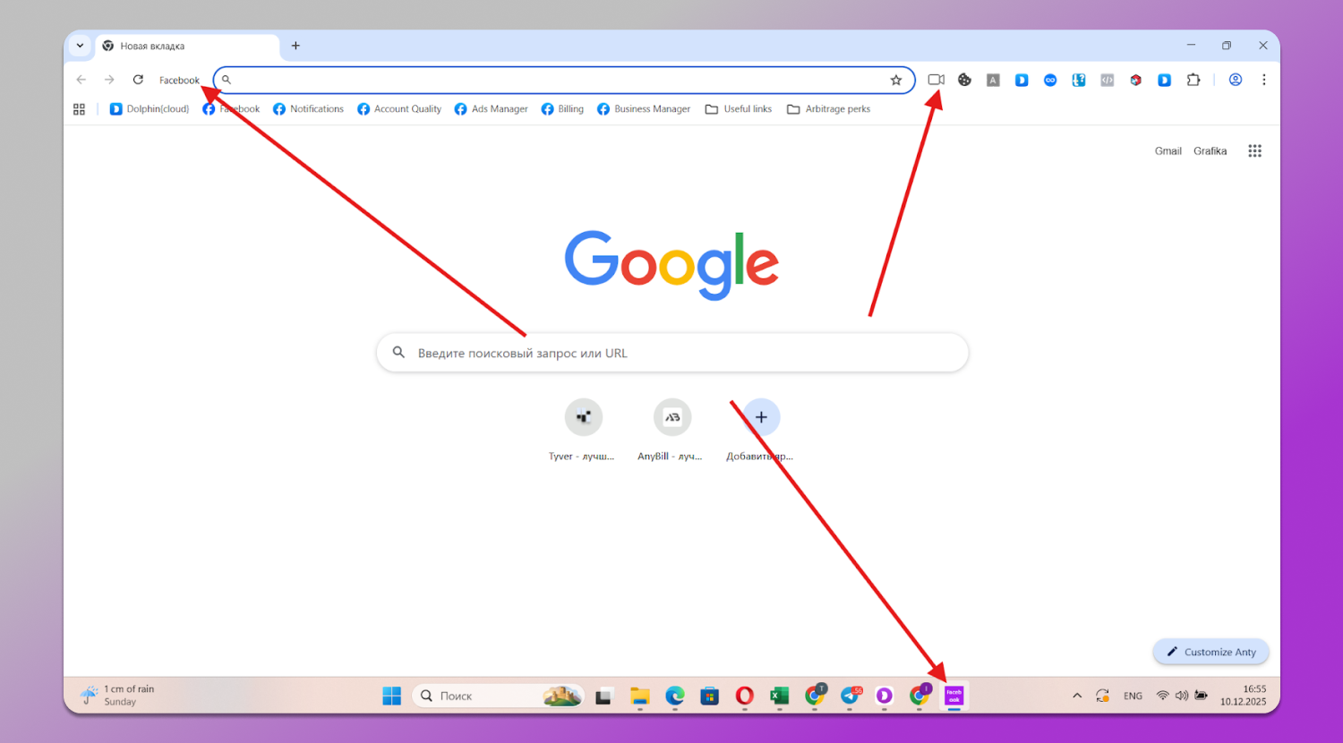 Profile Features Dolphin Anty