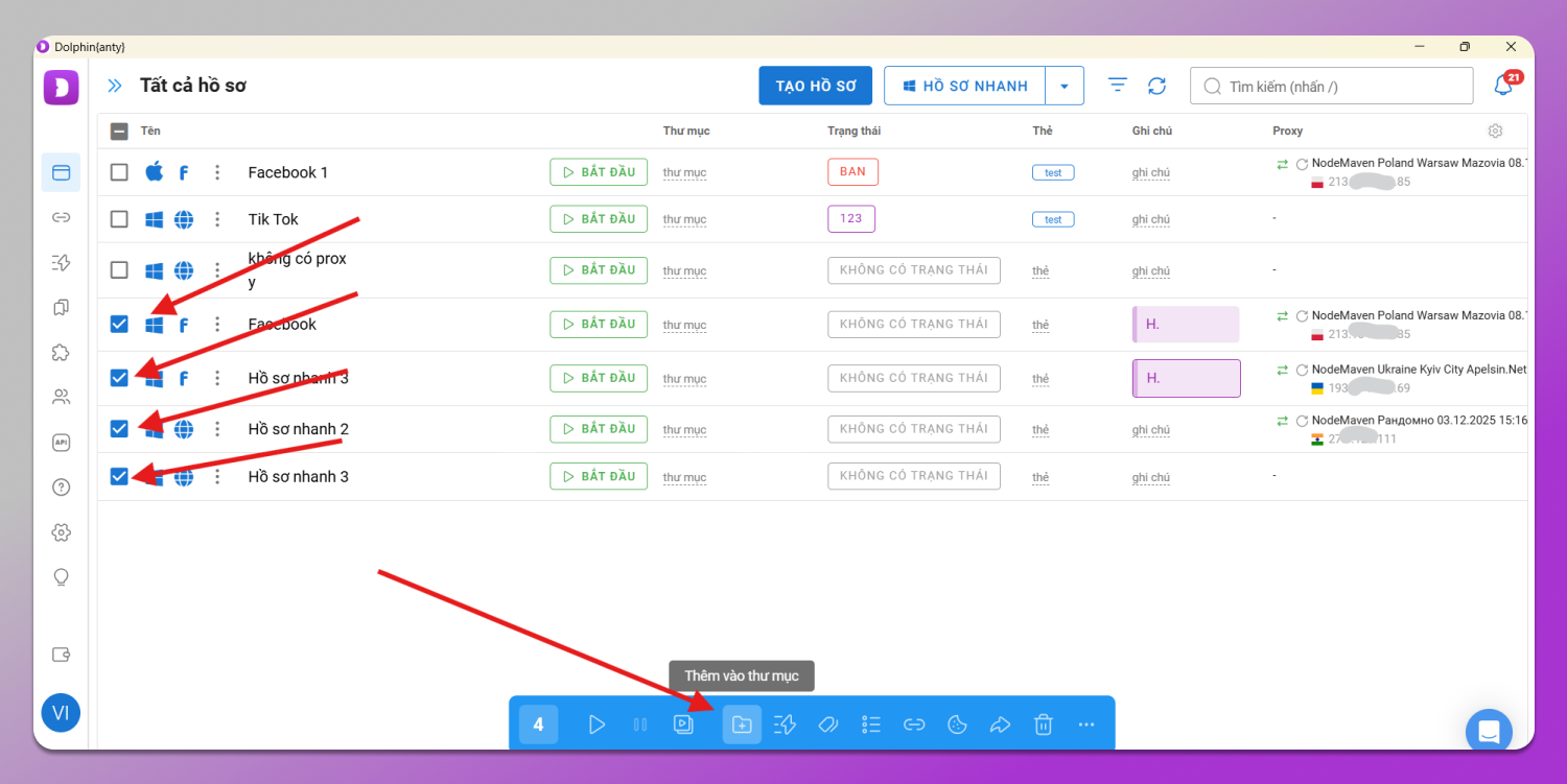 Profile Movement Dolphin Anty