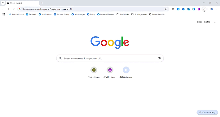 Extensions Dolphin Anty