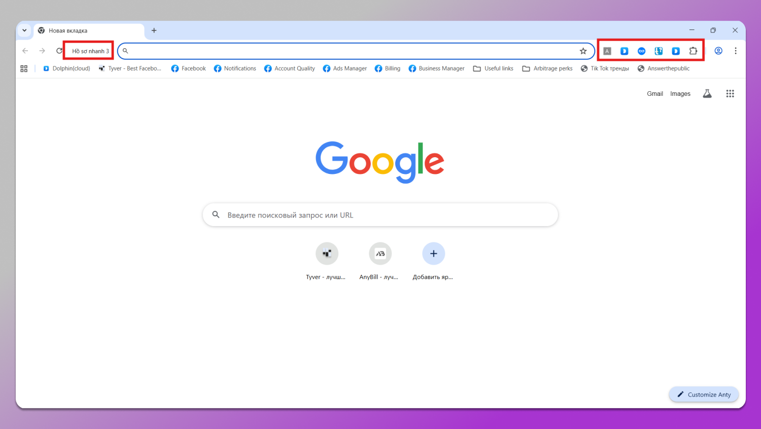 Extensions Dolphin Anty
