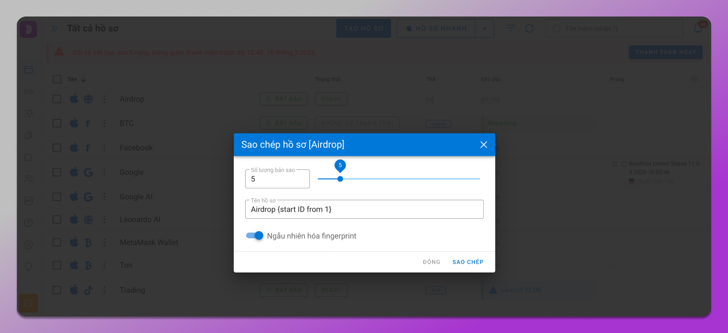 Profile Copy Dolphin Anty