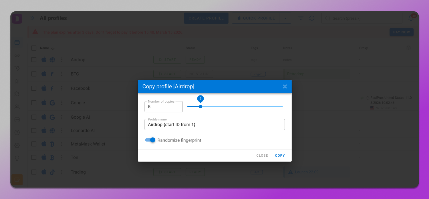 Profile Copy Dolphin Anty