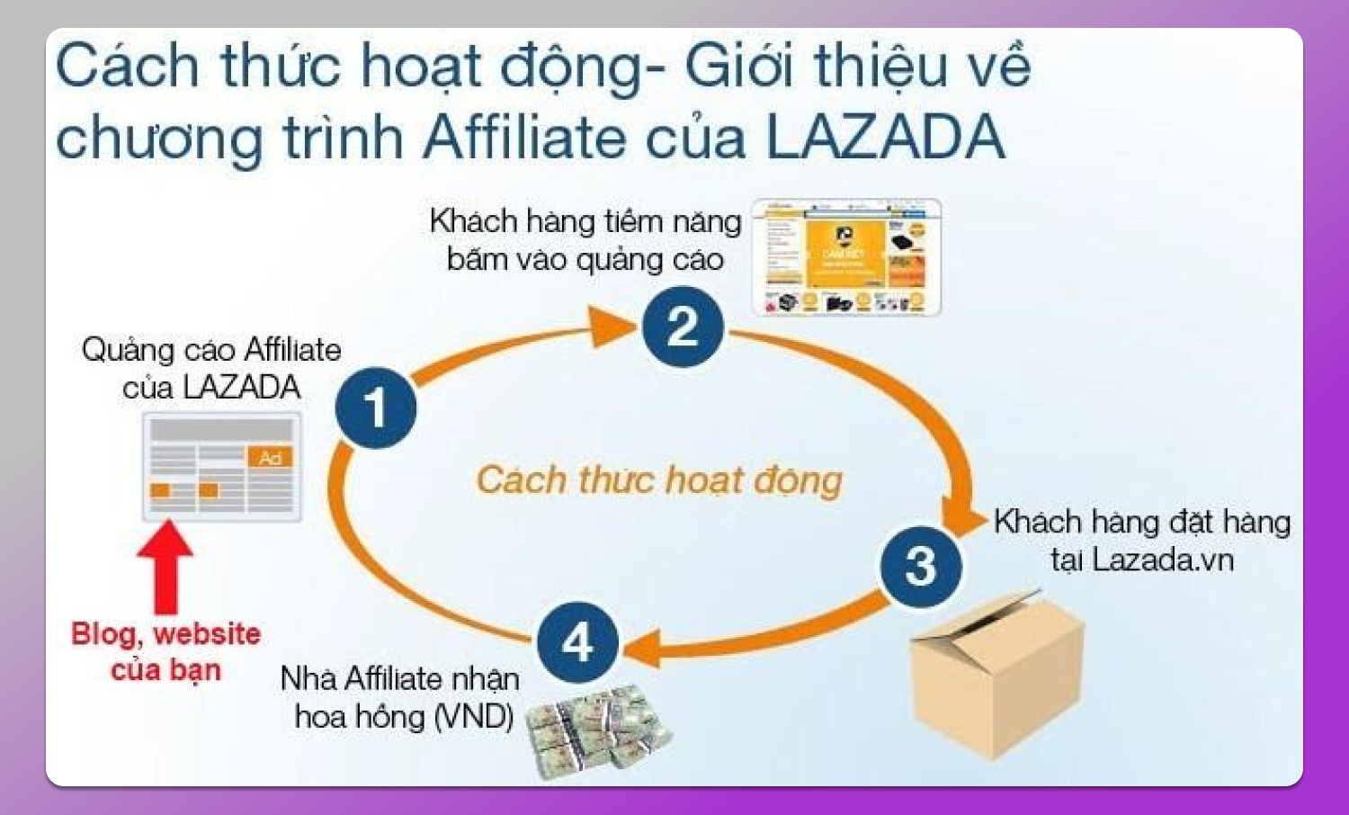 Affiliate Marketing Dolphin Anty