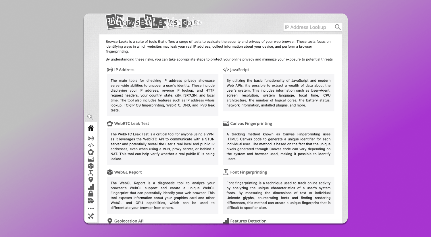 Browserleaks Website Dolphin Anty