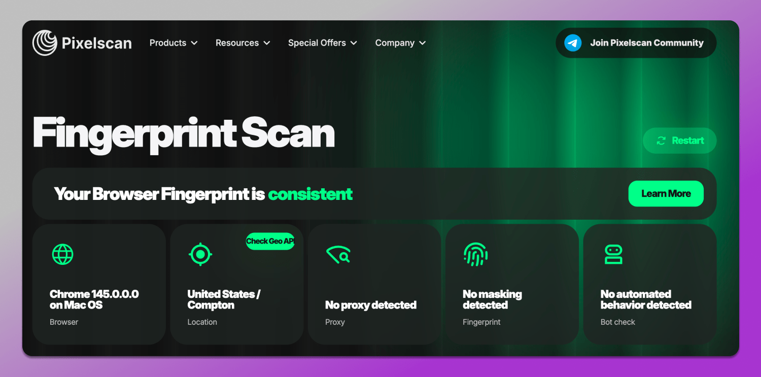 Consistent Dolphin Anty