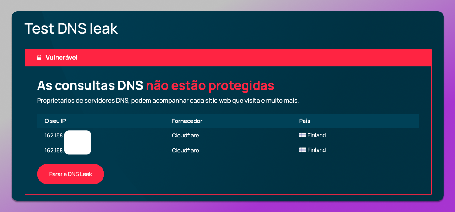 DNS Test Dolphin Anty