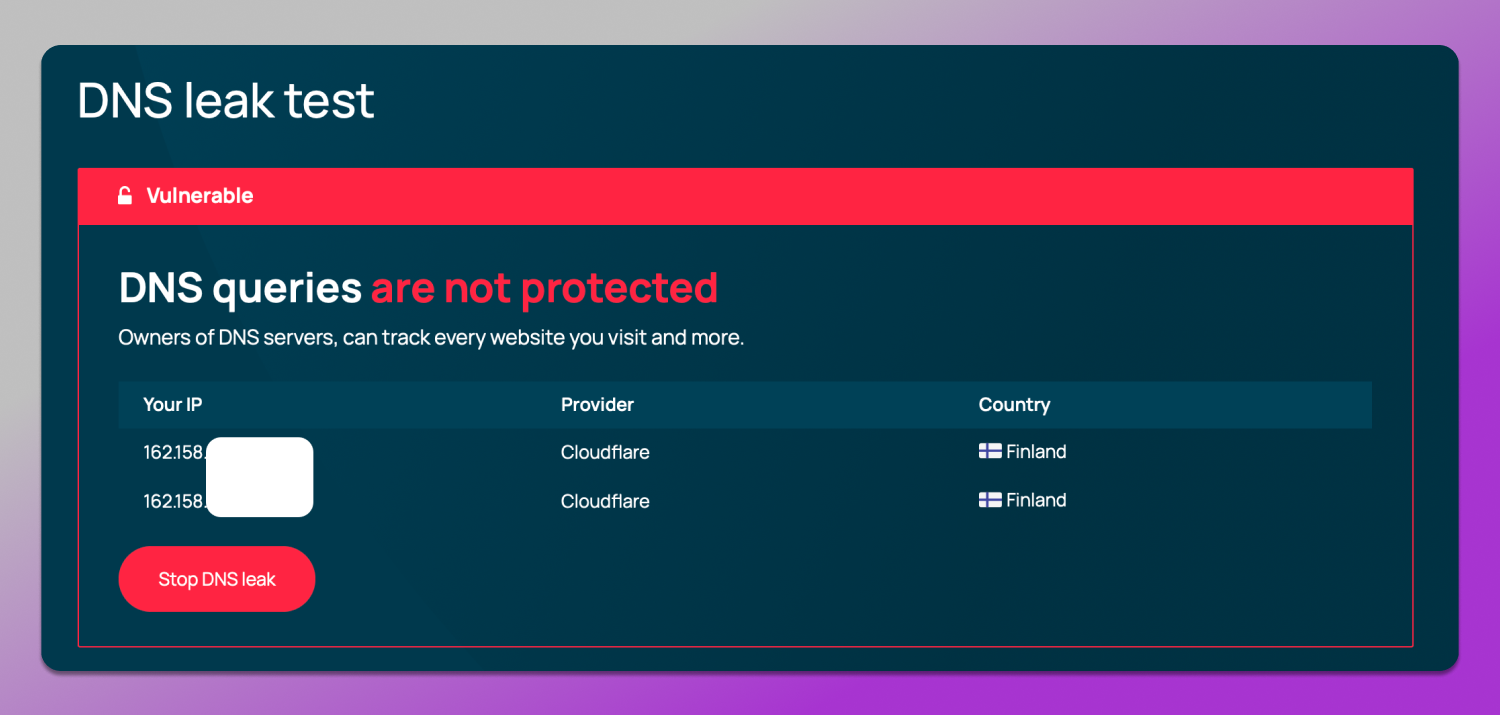 DNS Test Dolphin Anty