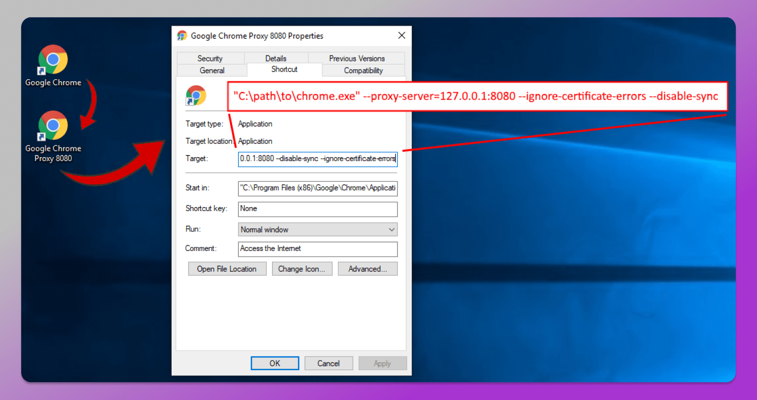 Professional proxy Dolphin Anty