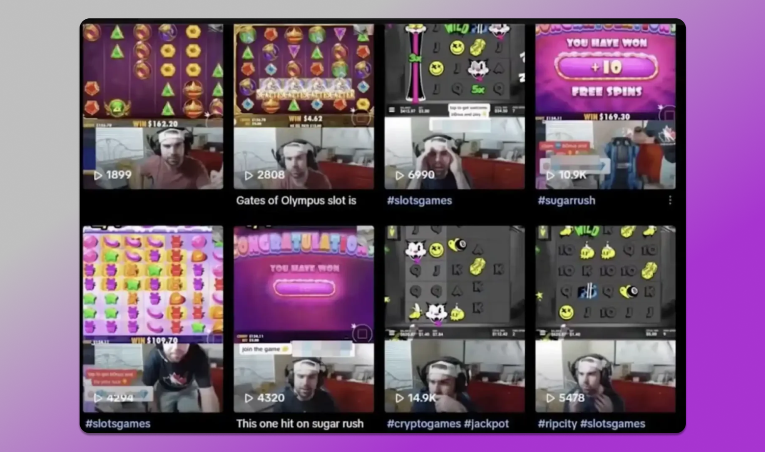 Gamblibg Dolphin Anty