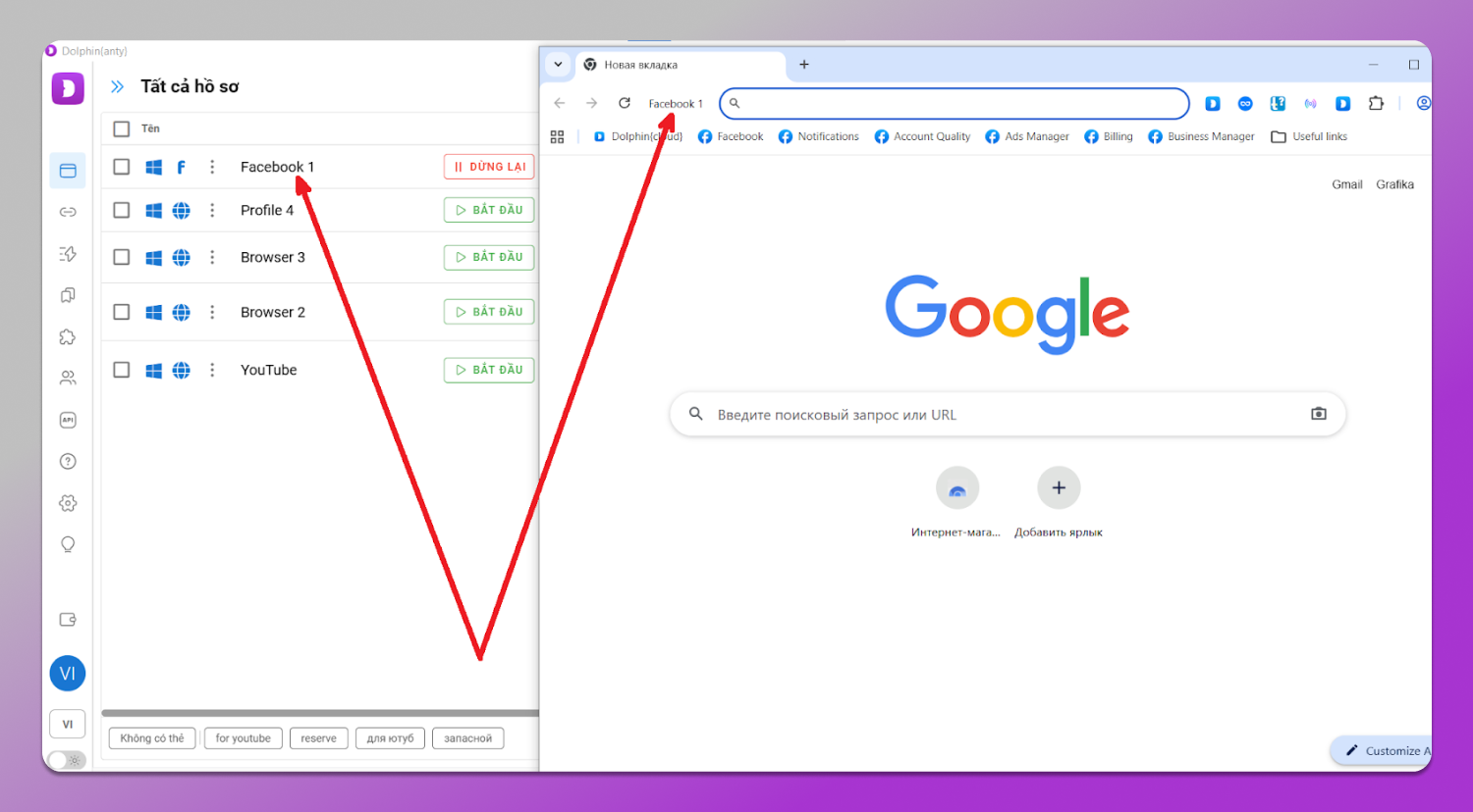 Profile Dolphin Anty