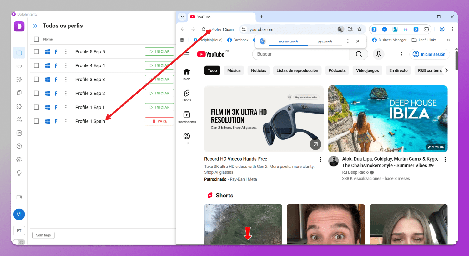 Profile Dolphin Anty