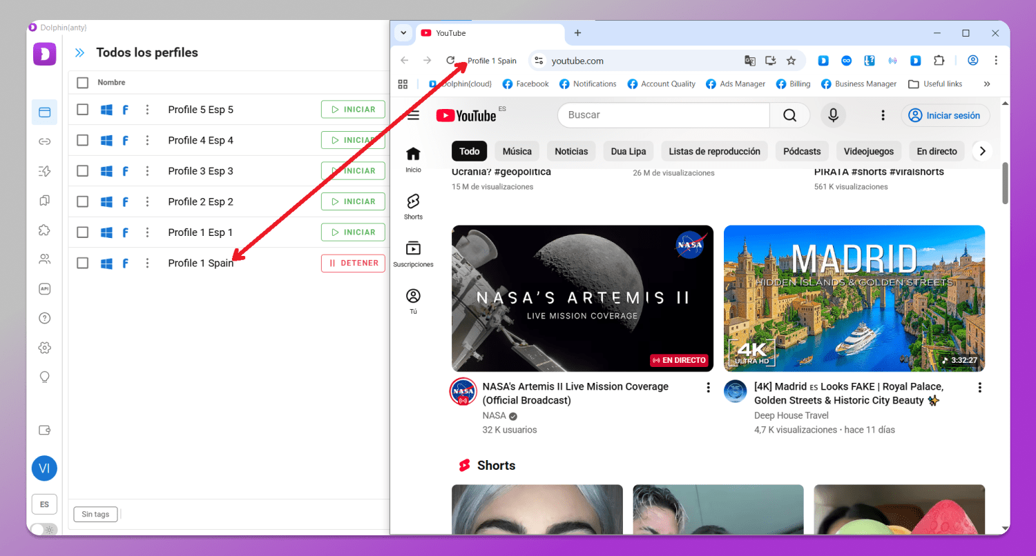 Profile Dolphin Anty