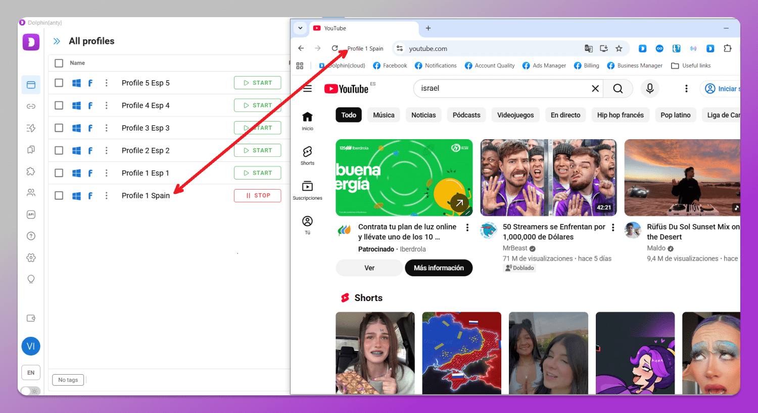 Profile Dolphin Anty