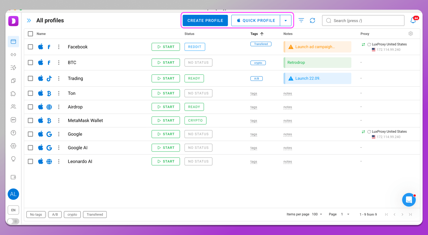 New Profile Dolphin Anty
