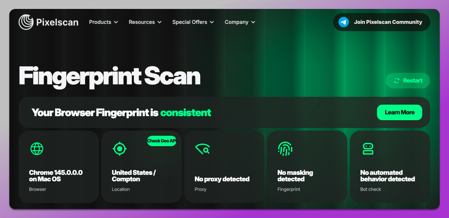 Consistent Dolphin Anty