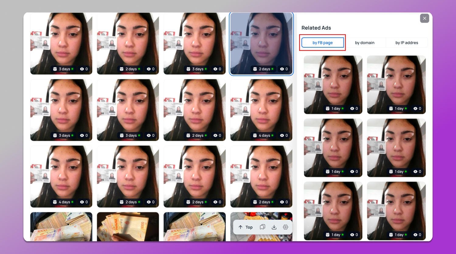 Collection Tyver Dolphin Anty