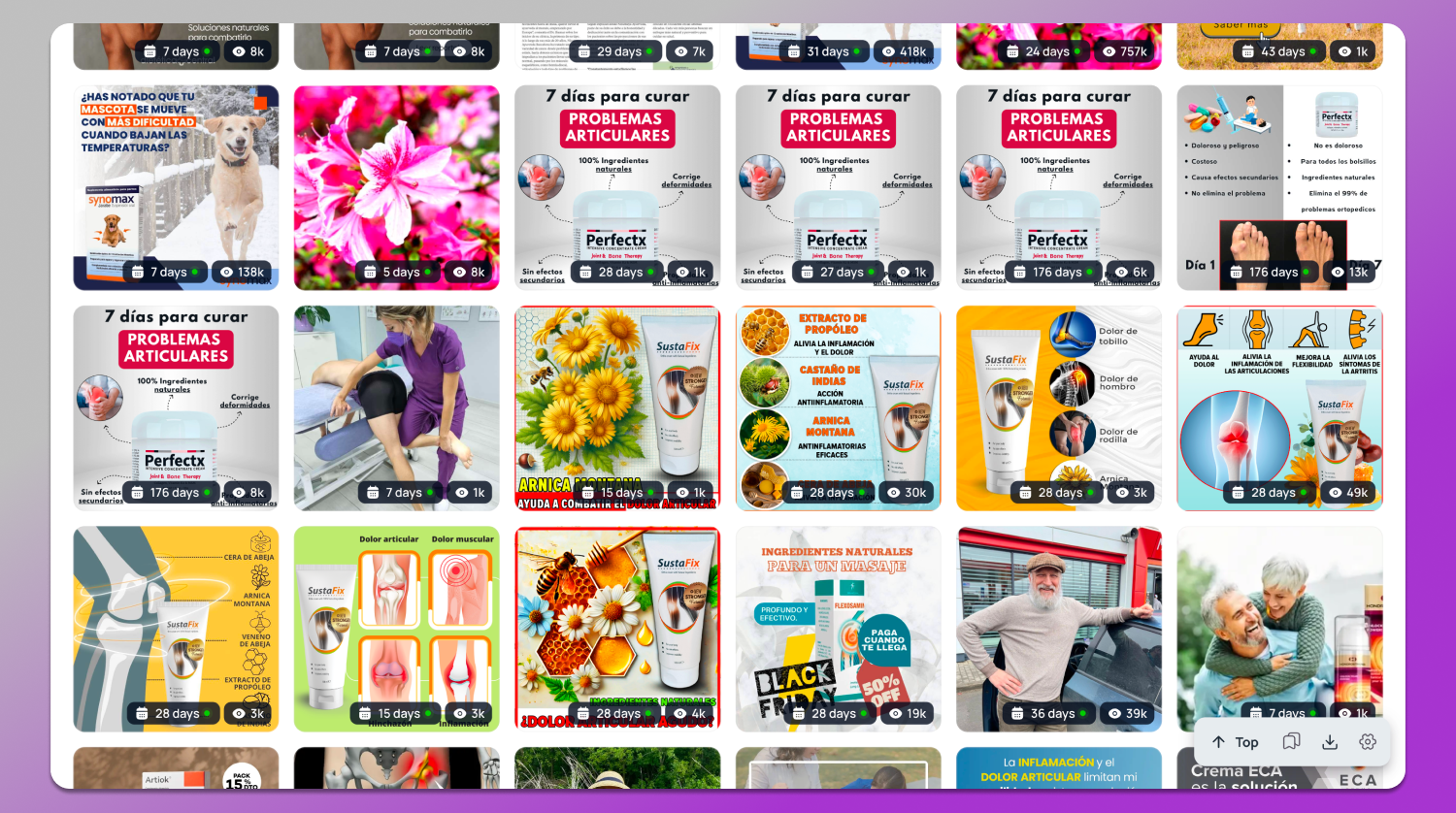 Collection Tyver Dolphin Anty