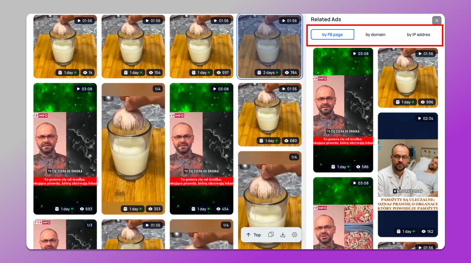 Collection Tyver Dolphin Anty