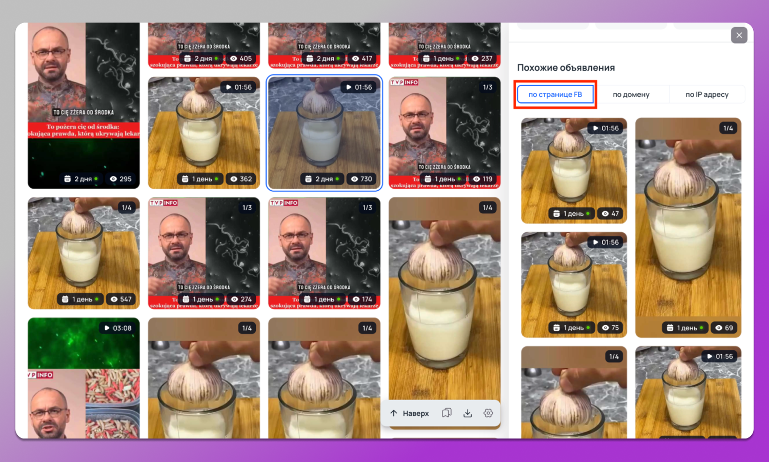 Подборка Tyver Dolphin Anty