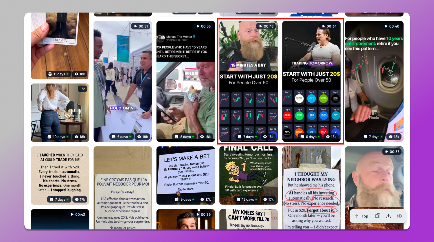 Collection Tyver Dolphin Anty