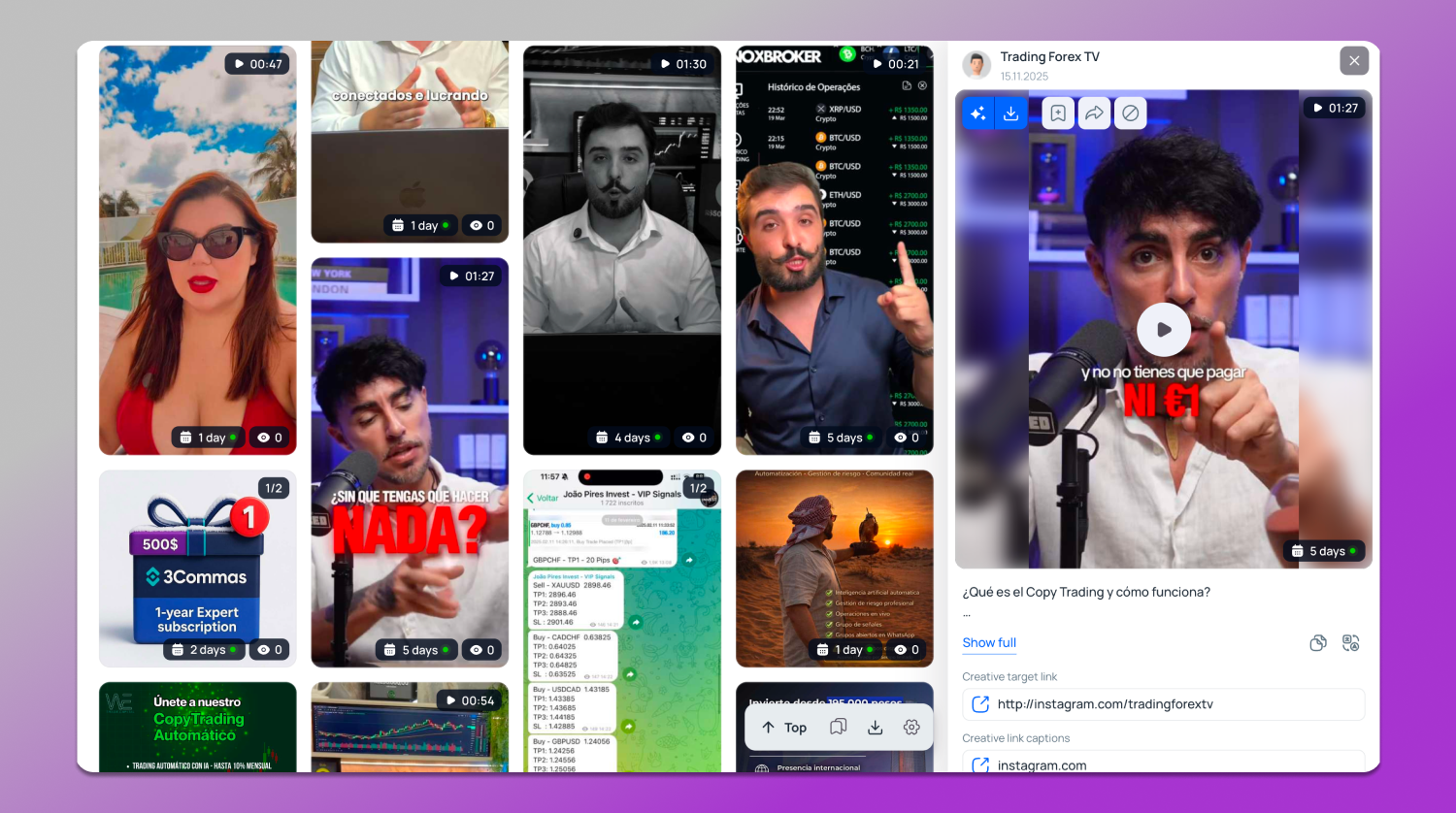 Collection Tyver Dolphin Anty