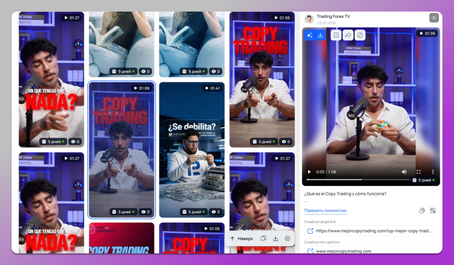 34 Подборка Tyver Dolphin Anty