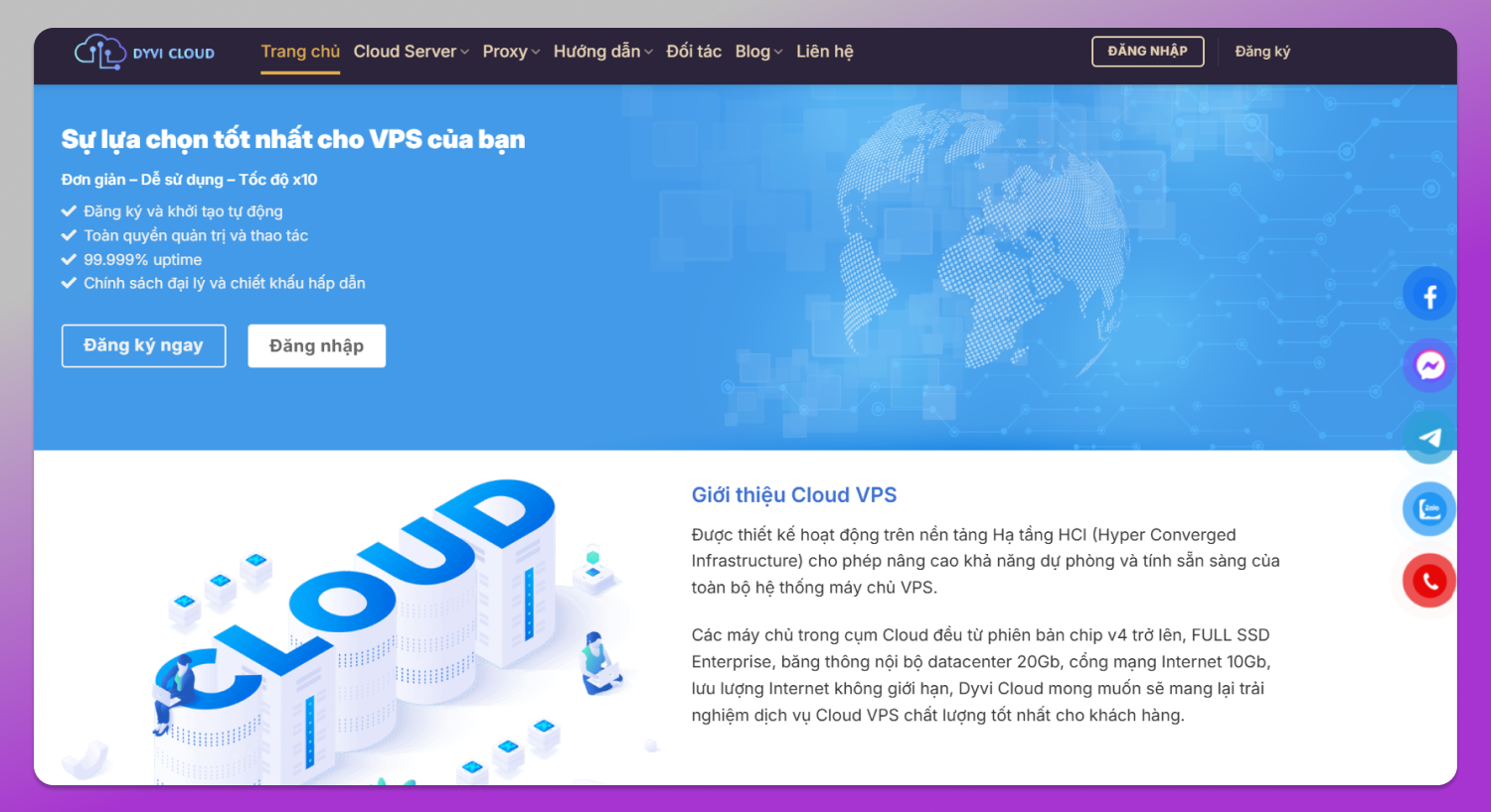 Dyvi Website Dolphin Anty