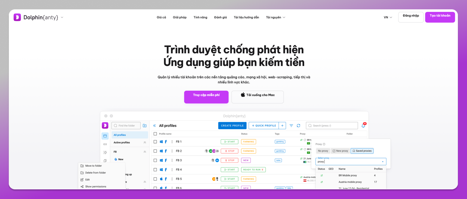 Website VI Dolphin Anty