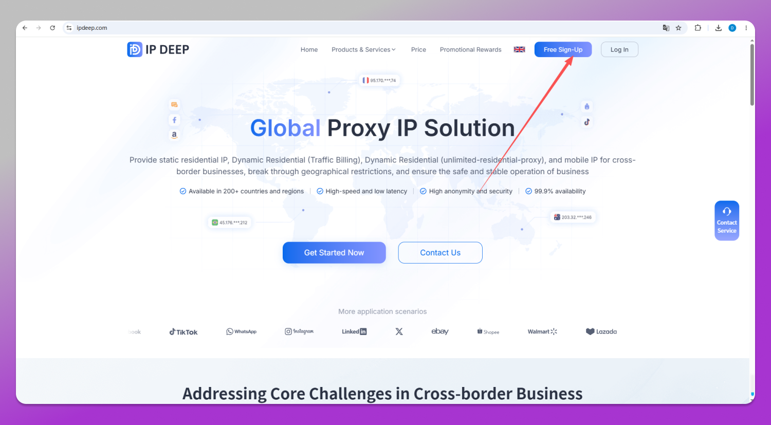IPDEEP Site Dolphin Anty