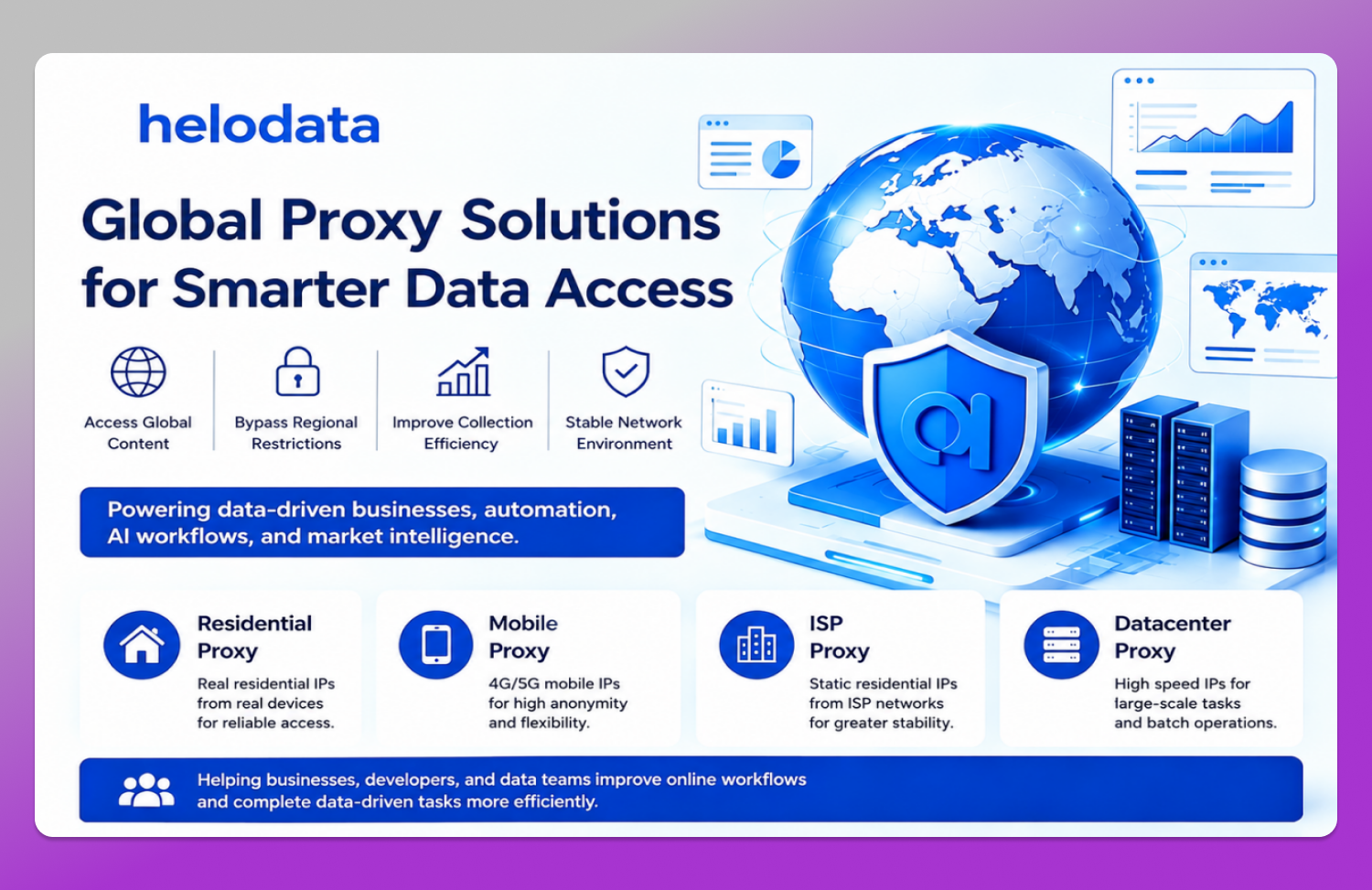 Global Data Dolphin Anty